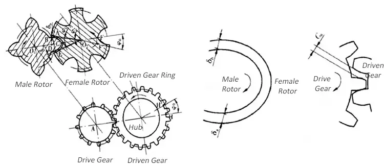 Schematic Diagram of Rotors Installation Gap and Gear Meshing